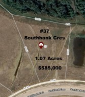 37 Southbank Crescent  Okotoks, AB T1S 5S8