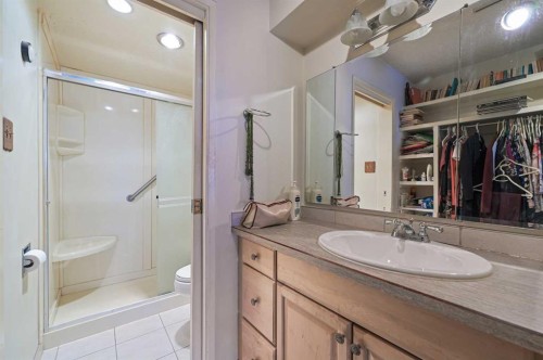 2A-133 25 Avenue Sw, Calgary, AB - Indoor Photo Showing Bathroom