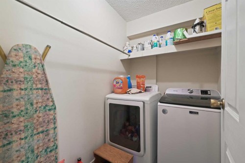 2A-133 25 Avenue Sw, Calgary, AB - Indoor Photo Showing Laundry Room