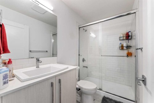 1209 Cornerstone Street Ne, Calgary, AB - Indoor Photo Showing Bathroom