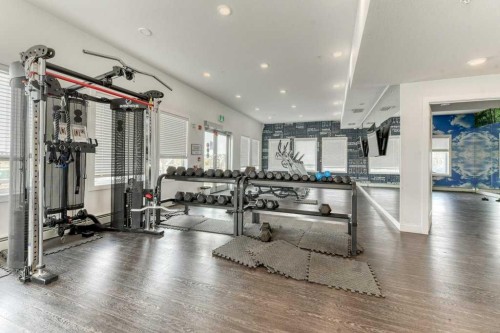 1321-76 Cornerstone Passage Ne, Calgary, AB - Indoor Photo Showing Gym Room