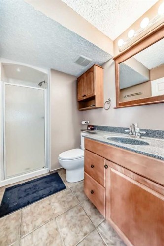 170 Shawbrooke Green Sw, Calgary, AB - Indoor Photo Showing Bathroom
