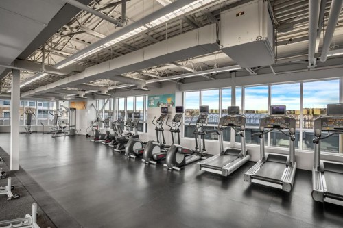 1205-32 Varsity Estates Circle Nw, Calgary, AB - Indoor Photo Showing Gym Room
