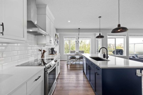 223 Howse Drive Ne, Calgary, AB - Indoor Photo Showing Kitchen With Upgraded Kitchen