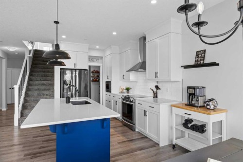 223 Howse Drive Ne, Calgary, AB - Indoor Photo Showing Kitchen With Upgraded Kitchen