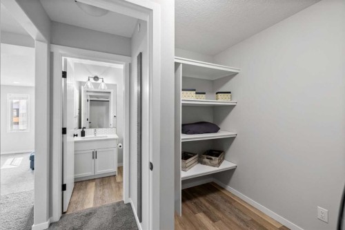 223 Howse Drive Ne, Calgary, AB - Indoor