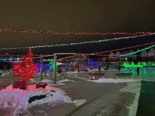 223 Howse Drive Ne, Calgary, AB - Other