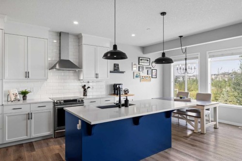 223 Howse Drive Ne, Calgary, AB - Indoor Photo Showing Kitchen With Upgraded Kitchen