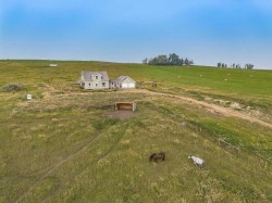 290053 96 Street EAST Rural Foothills County, AB T1S 3Y9