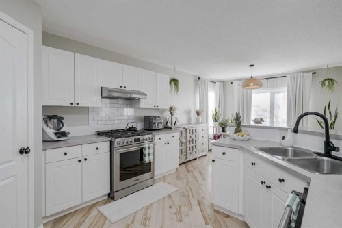 67 Silver Springs Way Nw, Airdrie, AB - Indoor Photo Showing Kitchen With Double Sink