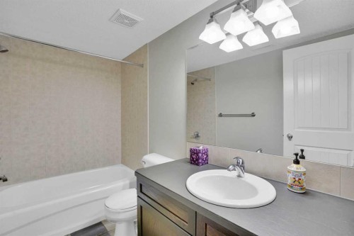 27-925 Imperial Drive, Diamond Valley, AB - Indoor Photo Showing Bathroom