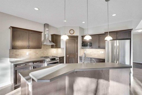 27-925 Imperial Drive, Diamond Valley, AB - Indoor Photo Showing Kitchen With Stainless Steel Kitchen With Upgraded Kitchen