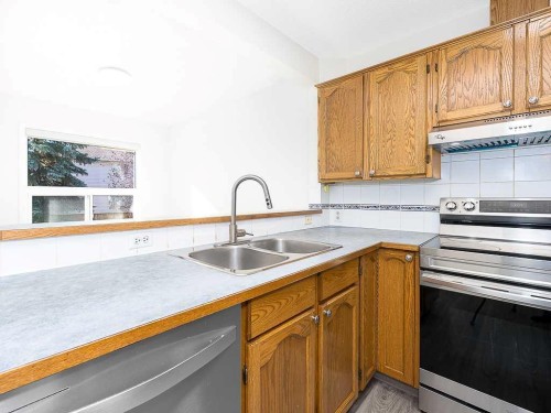 100 Catalina Circle Ne, Calgary, AB - Indoor Photo Showing Kitchen With Double Sink
