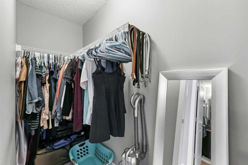 68 New Brighton Point Se, Calgary, AB - Indoor With Storage