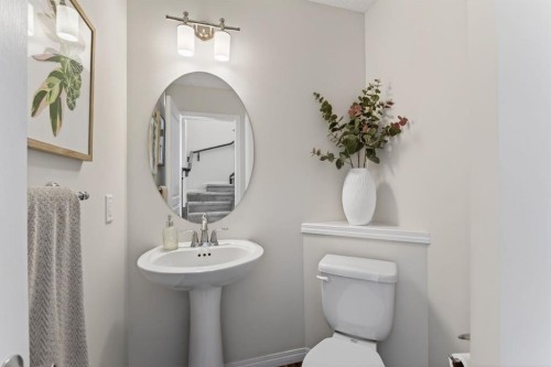 338 Cranford Park Se, Calgary, AB - Indoor Photo Showing Bathroom