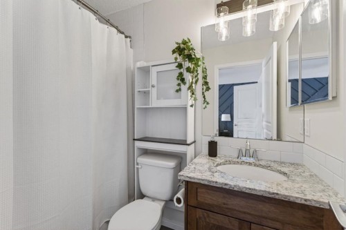 338 Cranford Park Se, Calgary, AB - Indoor Photo Showing Bathroom