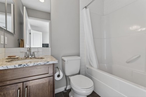 338 Cranford Park Se, Calgary, AB - Indoor Photo Showing Bathroom