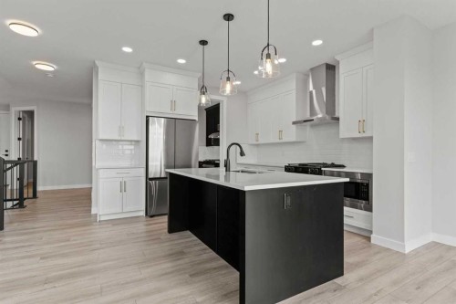 302 Kinniburgh Loop, Chestermere, AB - Indoor Photo Showing Kitchen With Upgraded Kitchen