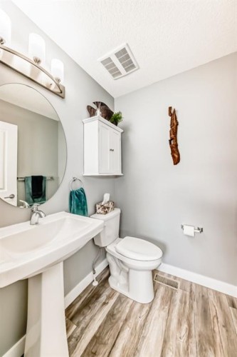 91 Baysprings Terrace, Airdrie, AB - Indoor Photo Showing Bathroom
