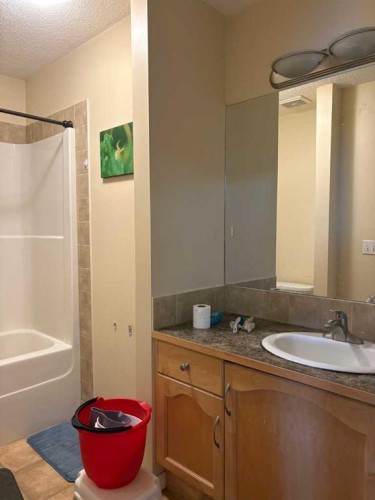 35 Saddlebrook Link Ne, Calgary, AB - Indoor Photo Showing Bathroom