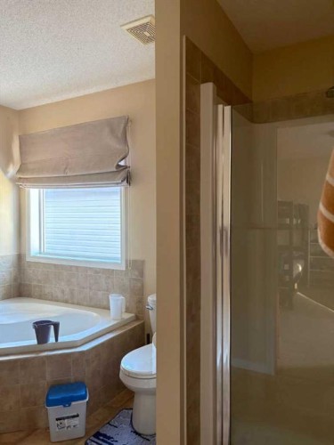 35 Saddlebrook Link Ne, Calgary, AB - Indoor Photo Showing Bathroom