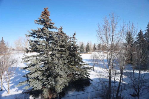 4754 Hamptons Way Nw, Calgary, AB - Outdoor With View