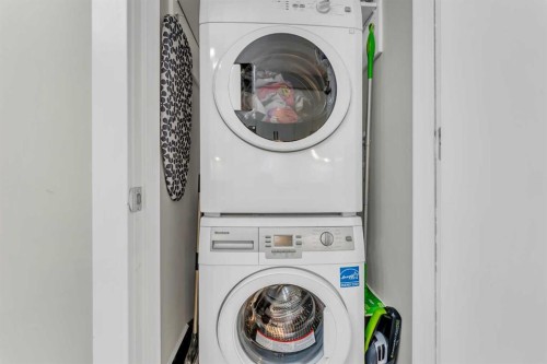 102-515 4 Avenue Ne, Calgary, AB - Indoor Photo Showing Laundry Room