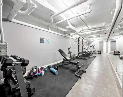 102-515 4 Avenue Ne, Calgary, AB - Indoor Photo Showing Gym Room