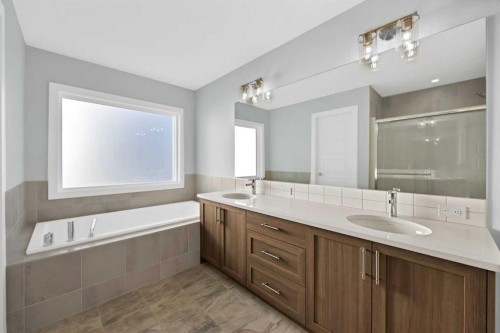 175 Homestead Common Ne, Calgary, AB - Indoor Photo Showing Bathroom