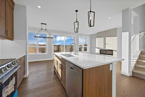 175 Homestead Common Ne, Calgary, AB - Indoor Photo Showing Kitchen With Upgraded Kitchen