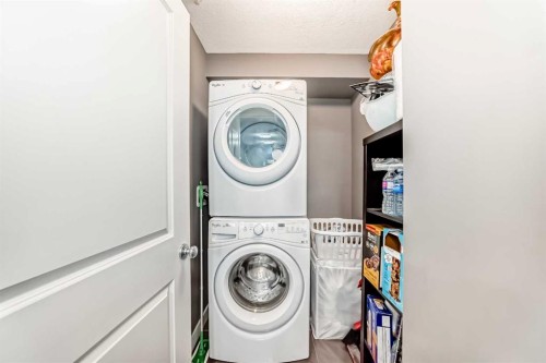 6204-302 Skyview Ranch Drive Ne, Calgary, AB - Indoor Photo Showing Laundry Room