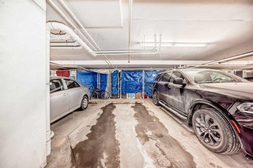 6204-302 Skyview Ranch Drive Ne, Calgary, AB - Indoor Photo Showing Garage
