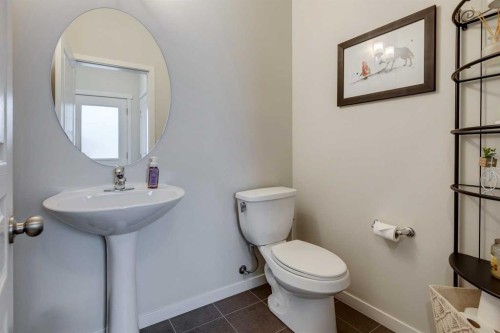 159 Mahogany Grove Se, Calgary, AB - Indoor Photo Showing Bathroom