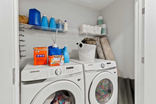 908-95 Skyview Close Ne, Calgary, AB - Indoor Photo Showing Laundry Room