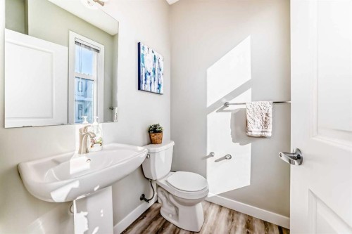 4143 Seton Drive Se, Calgary, AB - Indoor Photo Showing Bathroom