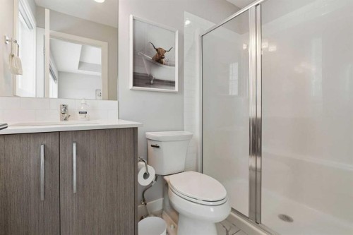 556 Chelsea Gardens, Chestermere, AB - Indoor Photo Showing Bathroom