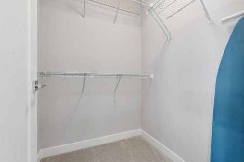 556 Chelsea Gardens, Chestermere, AB - Indoor With Storage