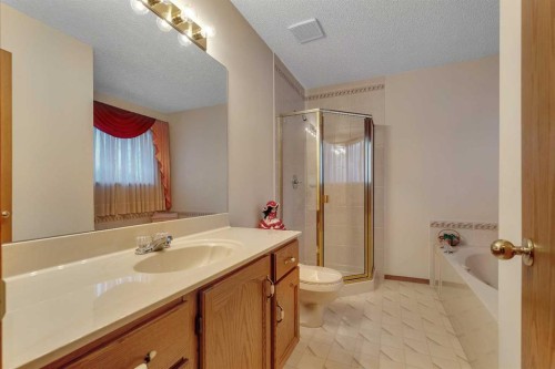 133 Riverview Park Se, Calgary, AB - Indoor Photo Showing Bathroom