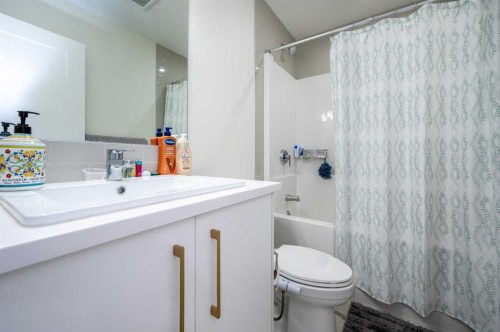 358 Chelsea Common, Chestermere, AB - Indoor Photo Showing Bathroom