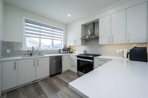 358 Chelsea Common, Chestermere, AB - Indoor Photo Showing Kitchen With Upgraded Kitchen