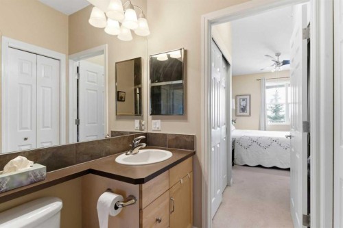 305-37 Prestwick Drive Se, Calgary, AB - Indoor Photo Showing Bathroom