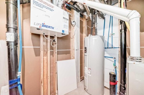 152 Cranbrook Square Se, Calgary, AB - Indoor Photo Showing Basement