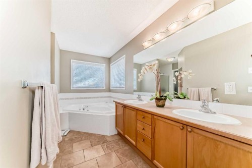 232 Coral Keys Place Ne, Calgary, AB - Indoor Photo Showing Bathroom