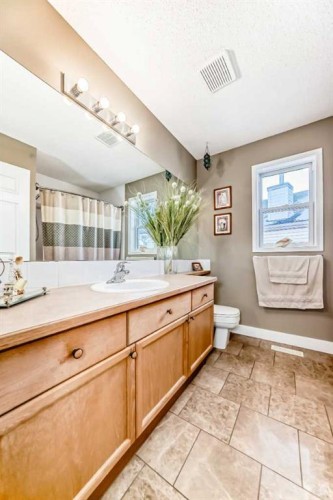 232 Coral Keys Place Ne, Calgary, AB - Indoor Photo Showing Bathroom