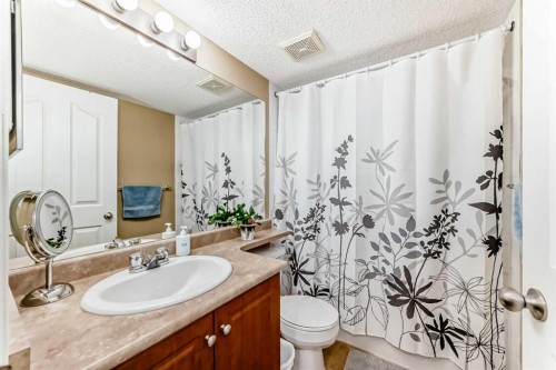 1219-8 Bridlecrest Drive Sw, Calgary, AB - Indoor Photo Showing Bathroom