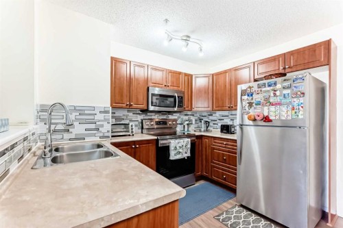 1219-8 Bridlecrest Drive Sw, Calgary, AB - Indoor Photo Showing Kitchen With Stainless Steel Kitchen With Double Sink