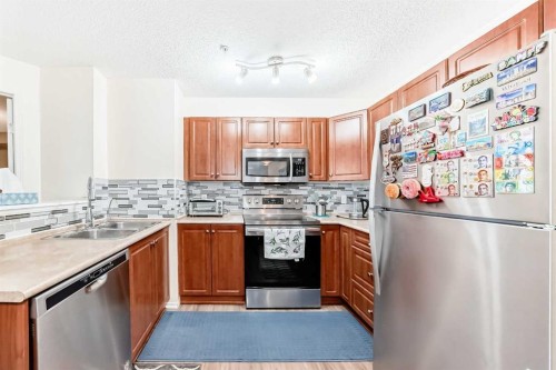 1219-8 Bridlecrest Drive Sw, Calgary, AB - Indoor Photo Showing Kitchen With Stainless Steel Kitchen With Double Sink