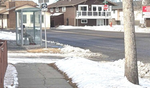 6715 43 Avenue Ne, Calgary, AB - Outdoor