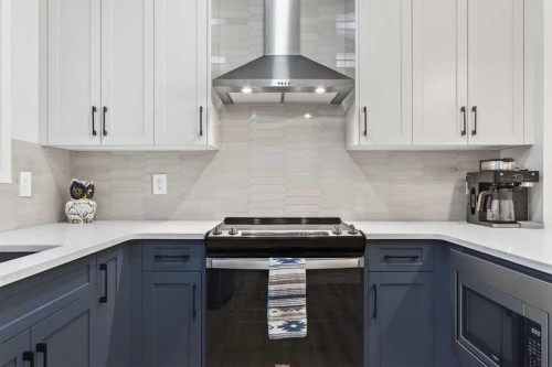 41 Lavender Passage Se, Calgary, AB - Indoor Photo Showing Kitchen With Upgraded Kitchen
