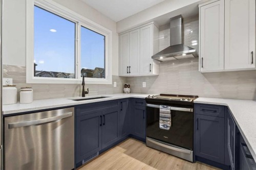 41 Lavender Passage Se, Calgary, AB - Indoor Photo Showing Kitchen With Upgraded Kitchen